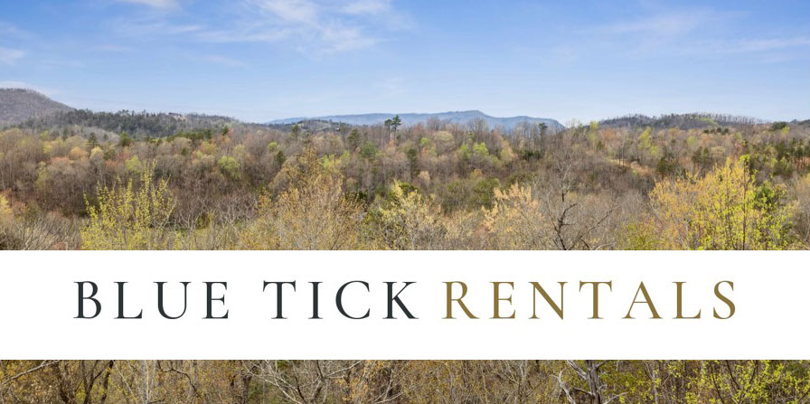 Blue Tick Rentals